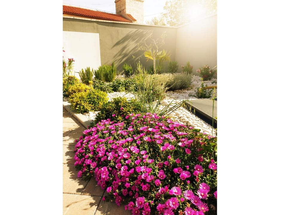 Spring, Garden, Garden view