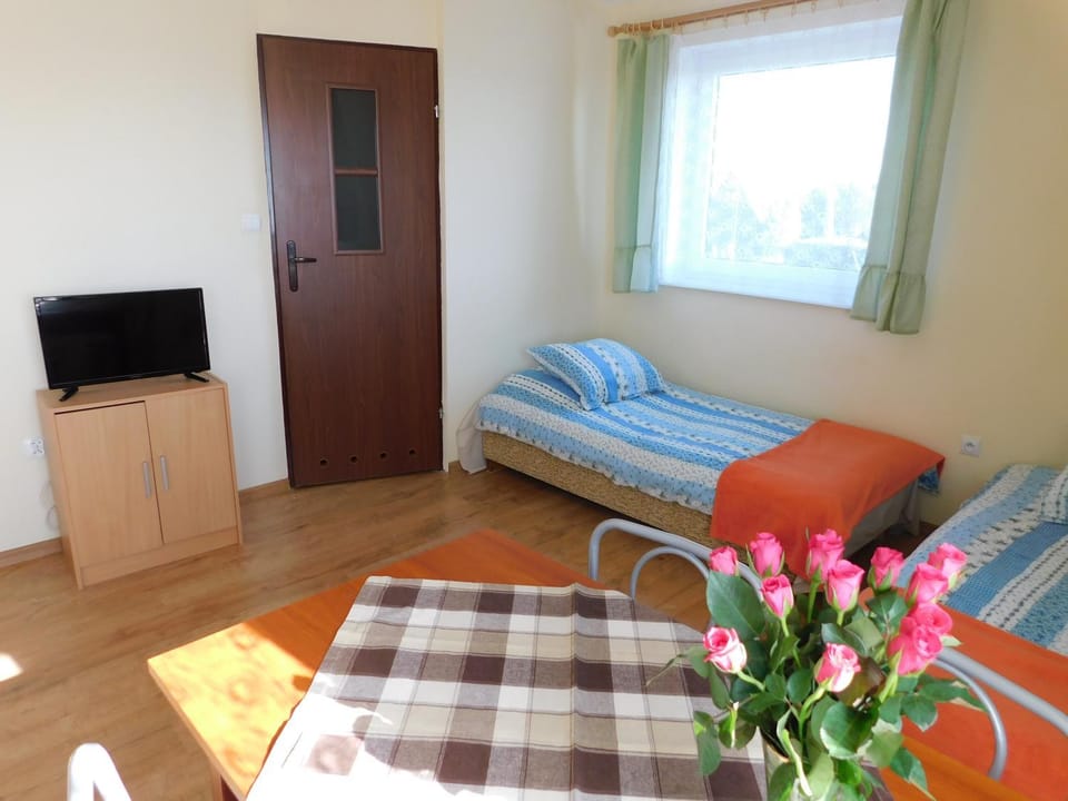 Bed, TV and multimedia, Photo of the whole room