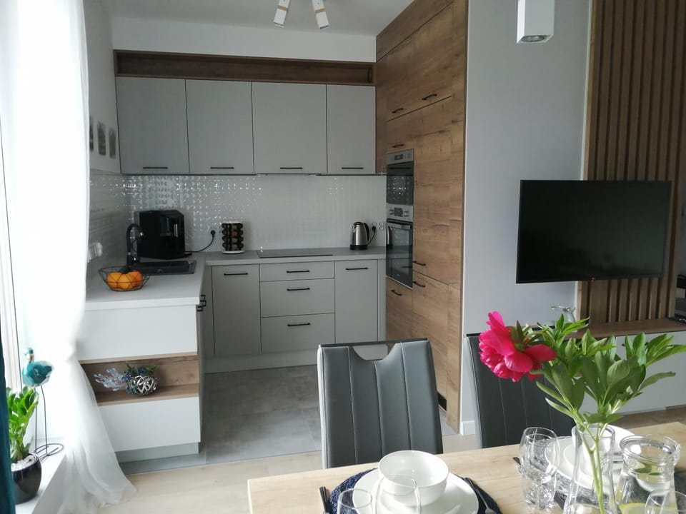 Apartament Zielone Wzgórze 1 Apartment in Lower Silesian Voivodeship