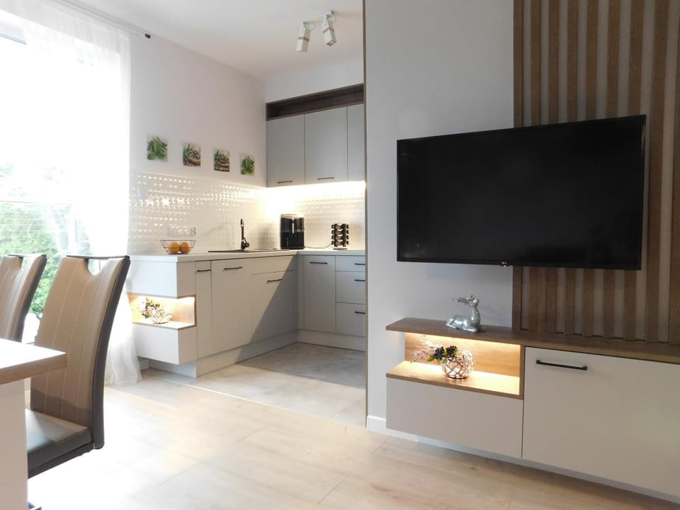 Apartament Zielone Wzgórze 1 Apartment in Lower Silesian Voivodeship
