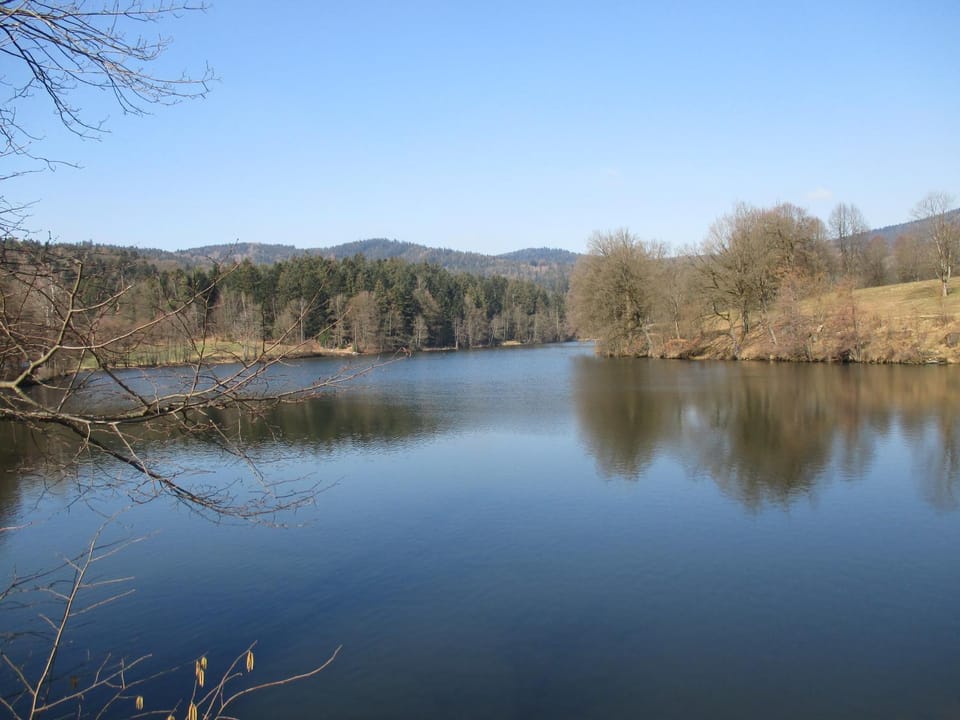 Lake view