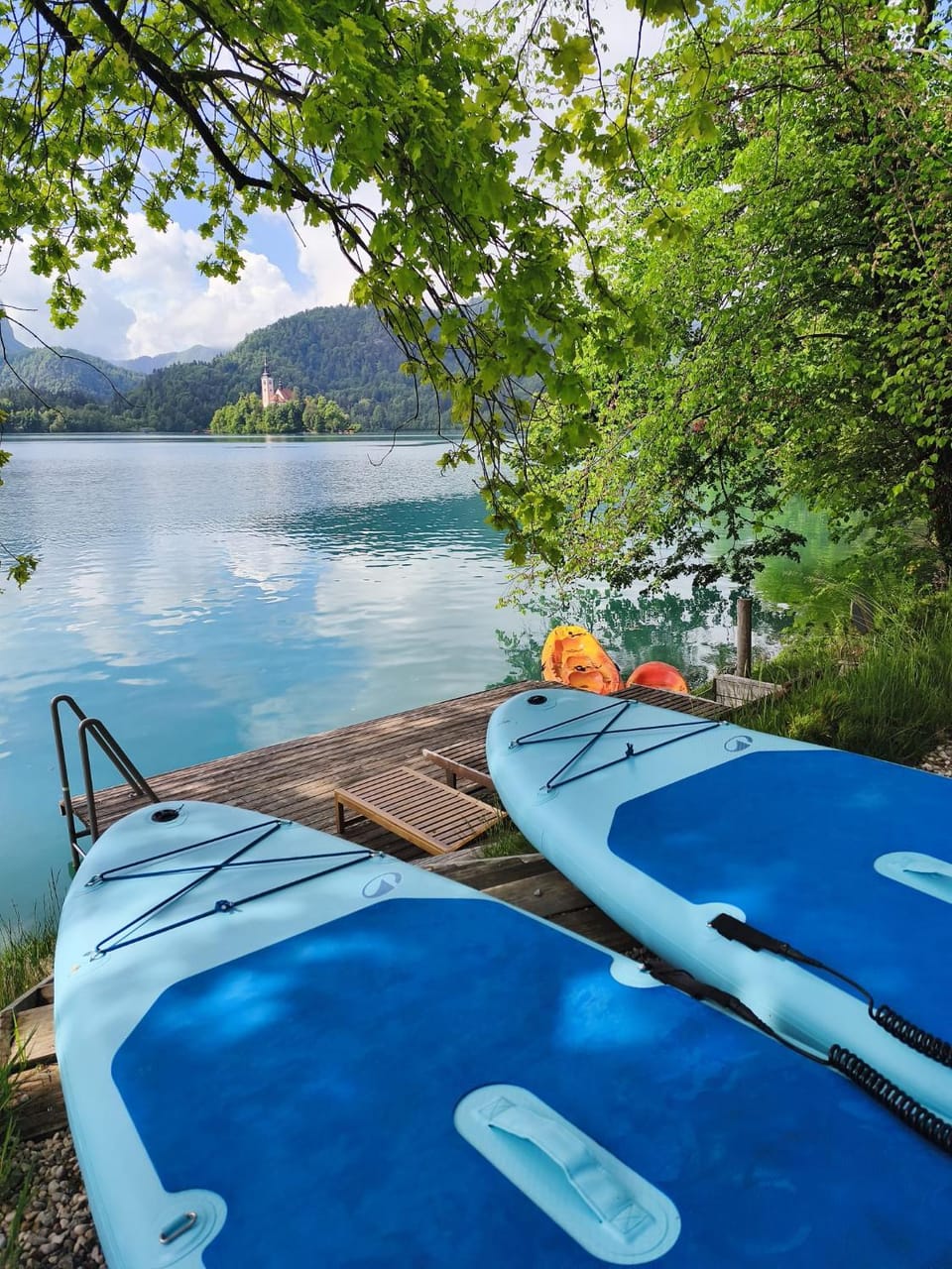 Private beach house on Lake Bled Apartment in Bled