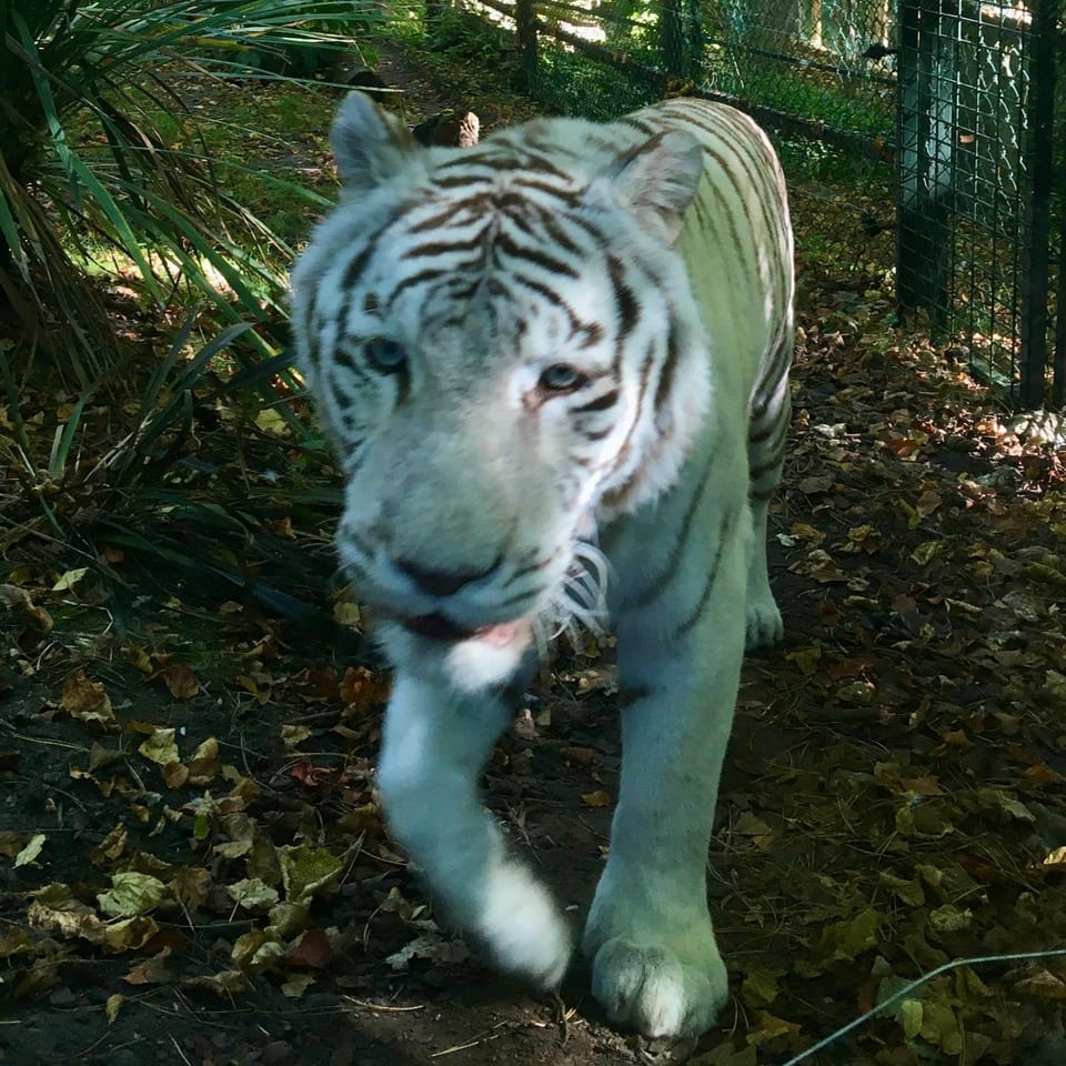 Off site, Landmark view