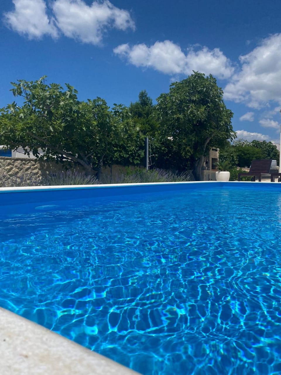 Garden, Garden view, Pool view, Swimming pool