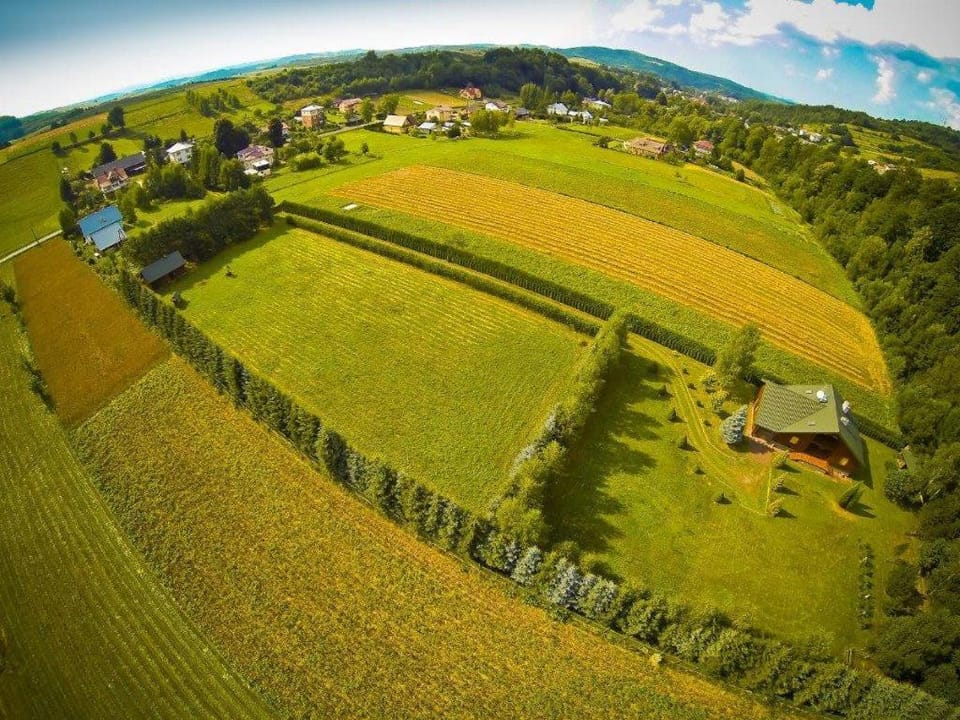 Nearby landmark, Spring, Day, Natural landscape, Bird's eye view, Mountain view