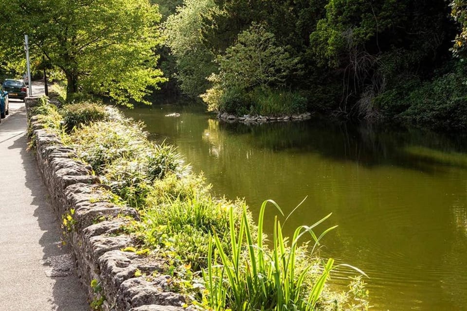 Natural landscape