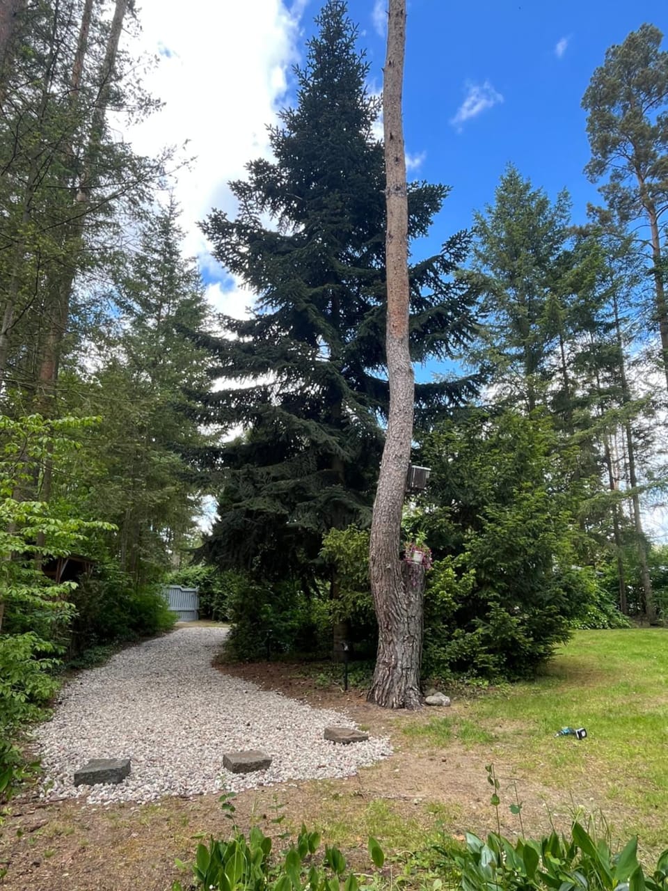 Ferienhaus Reetdach 1300qm Privatgrundstück Bootssteg Sauna Templin Lübbesee Uckermark Erholung pur Seenplatte House in Templin