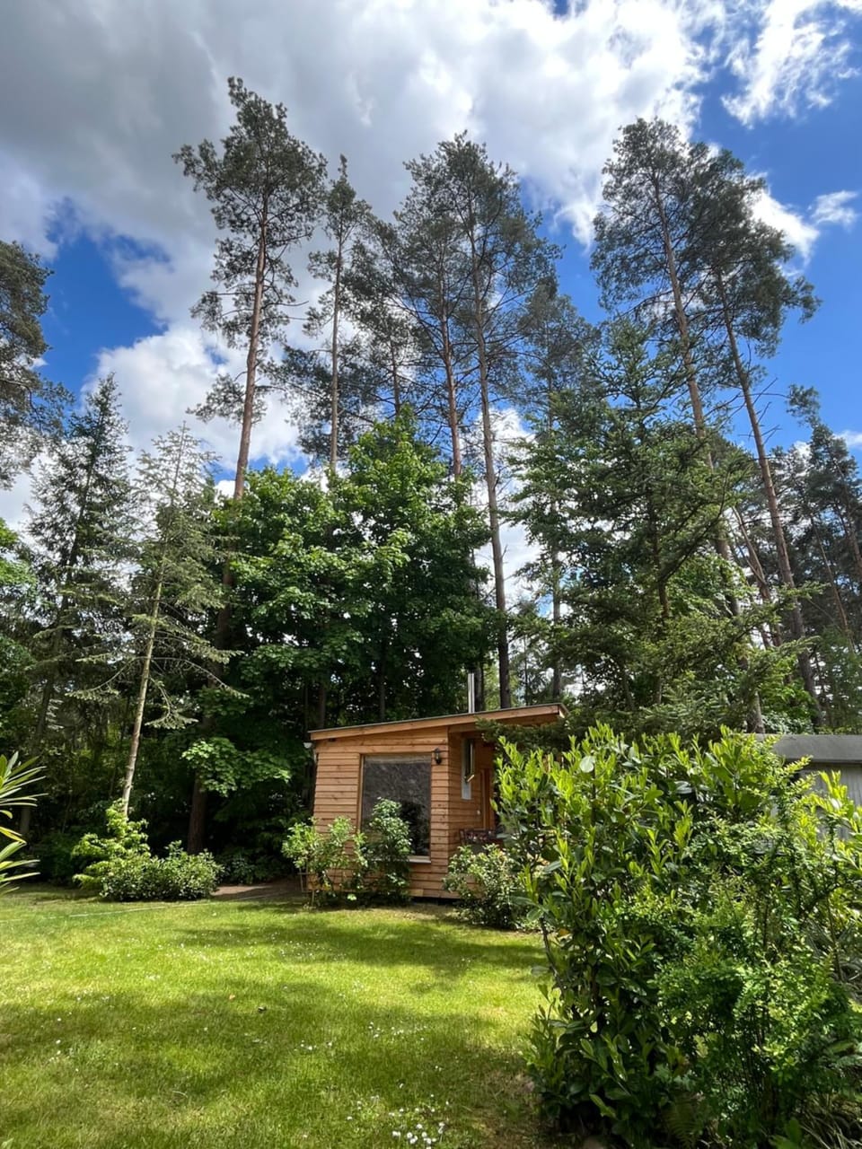 Ferienhaus Reetdach 1300qm Privatgrundstück Bootssteg Sauna Templin Lübbesee Uckermark Erholung pur Seenplatte House in Templin