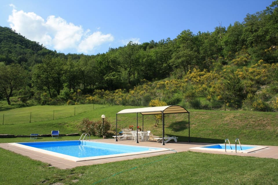 Garden, Swimming pool