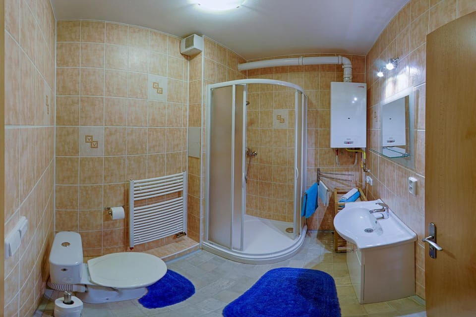 Shower, Toilet, Bathroom, hair dryier, towels