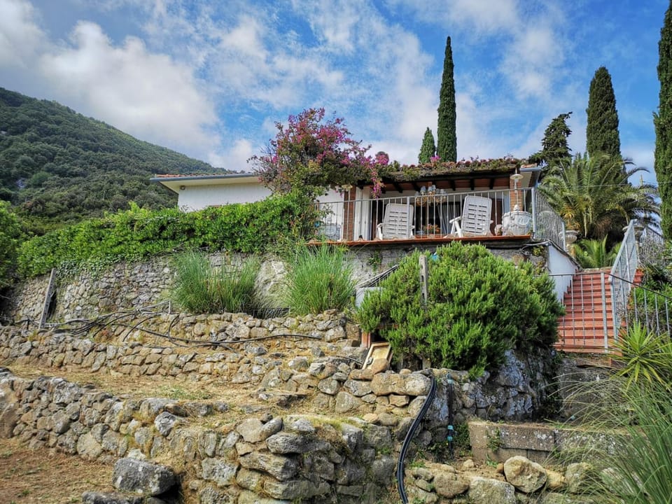 Garden, Garden view
