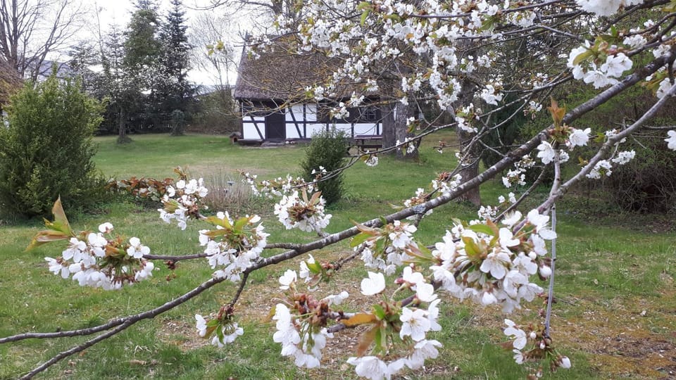 Małanka - kaszubska chëcz House in Pomeranian Voivodeship