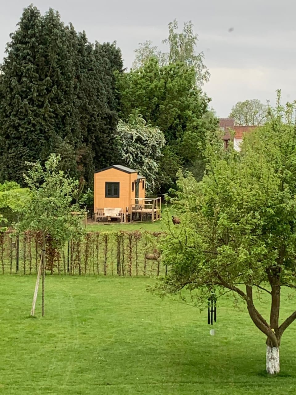 Property building, Garden, Garden view