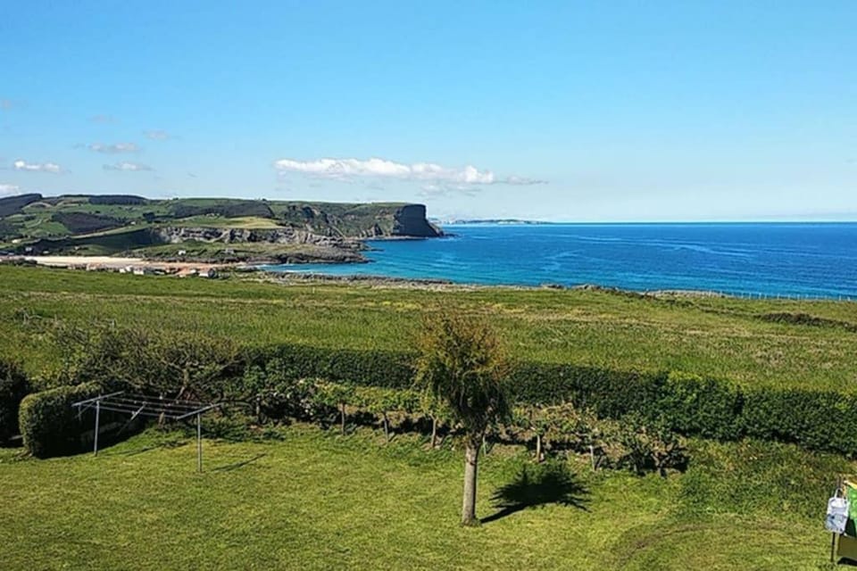Garden, Sea view