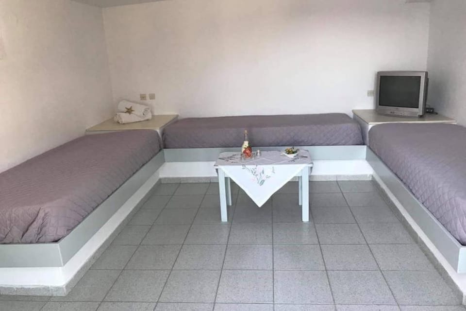 GRAPE YARD APARTMENT House in Paros