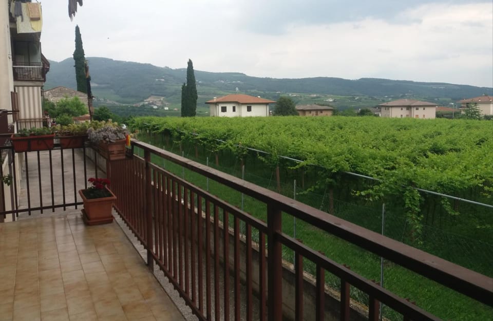 Property building, Landmark view