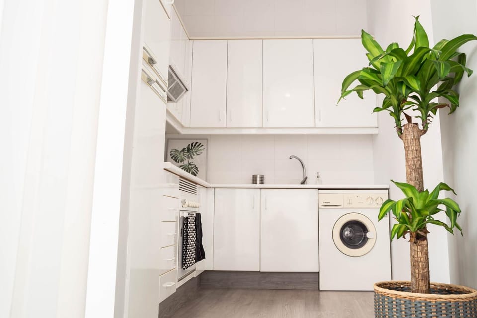 Kitchen or kitchenette, pet friendly, washing machine