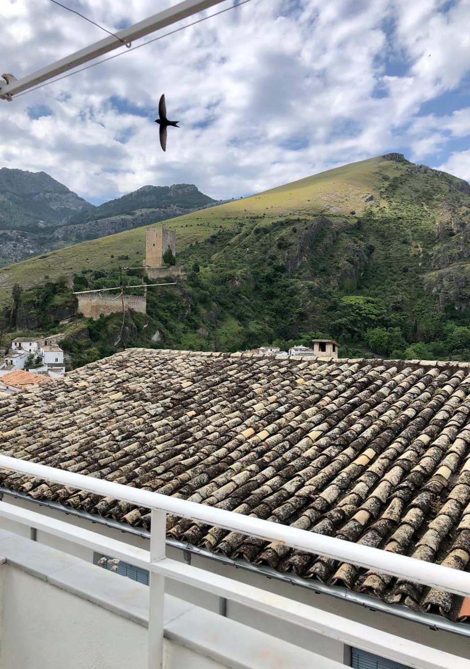 Balcony/Terrace, Mountain view
