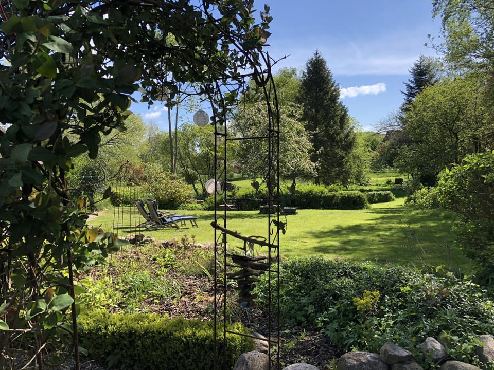 Garden view