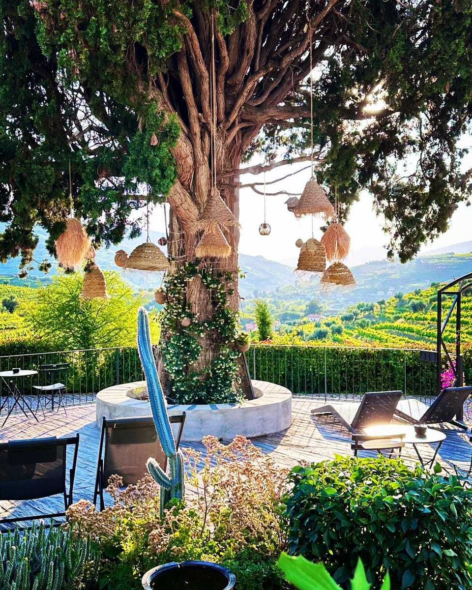 Patio, Natural landscape, Garden, Mountain view