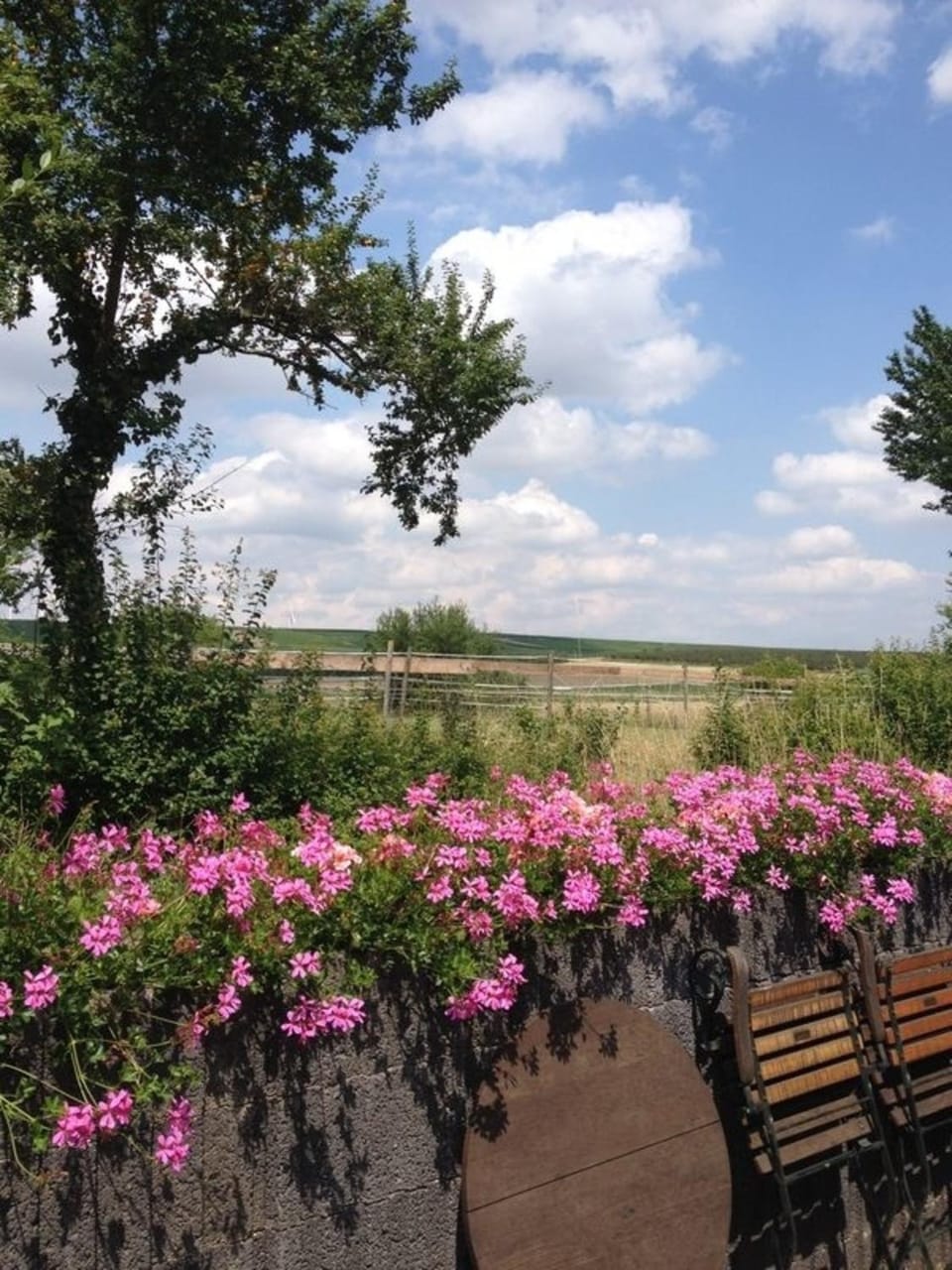 Ferienwohnung Am Backhausgarten Apartment in Mainz-Bingen