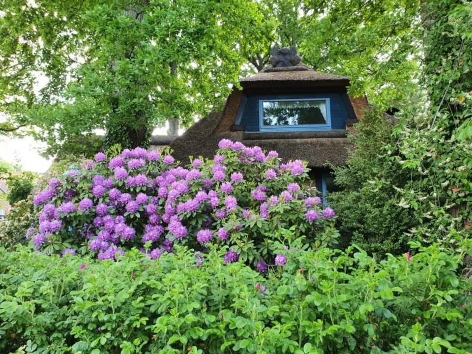 Traumhaftes Reetdachhaus "Grote Eken" in der Lüneburger Heide House in Lower Saxony, Germany