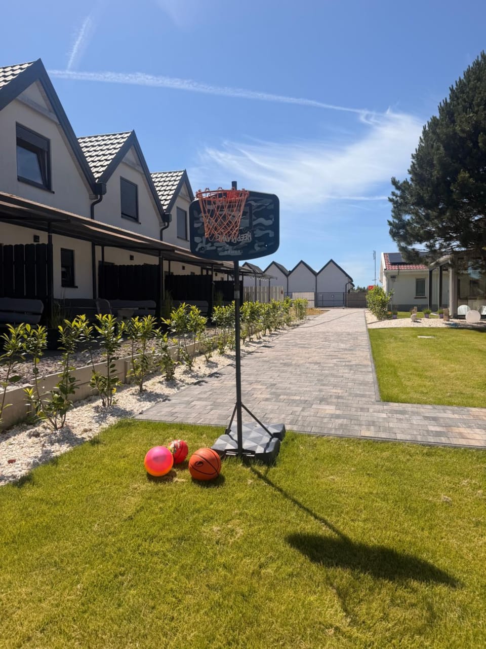Day, Natural landscape, Garden view