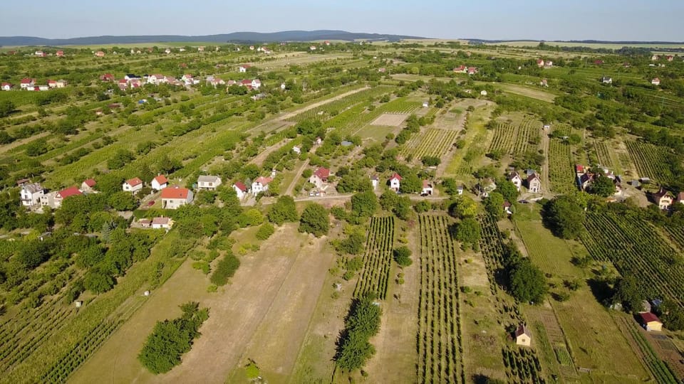 Nearby landmark, Natural landscape