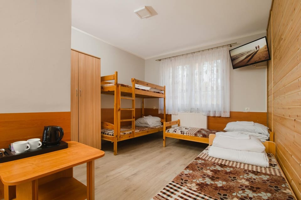 Bed, Guests, bunk bed