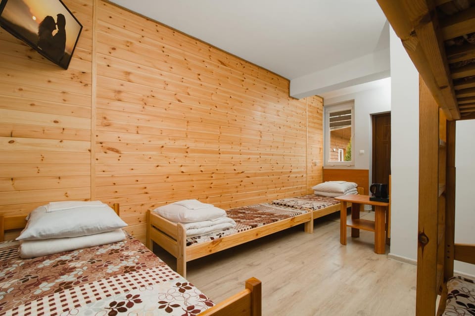 Bed, Guests, bunk bed
