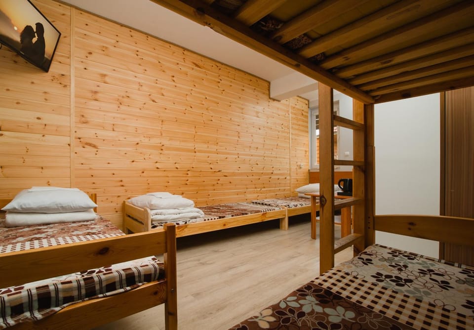 Bed, Guests, bunk bed