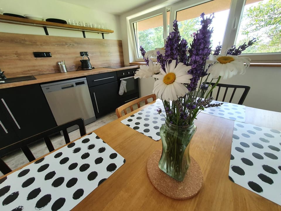 Apartmány Svatá Apartment in Czechia