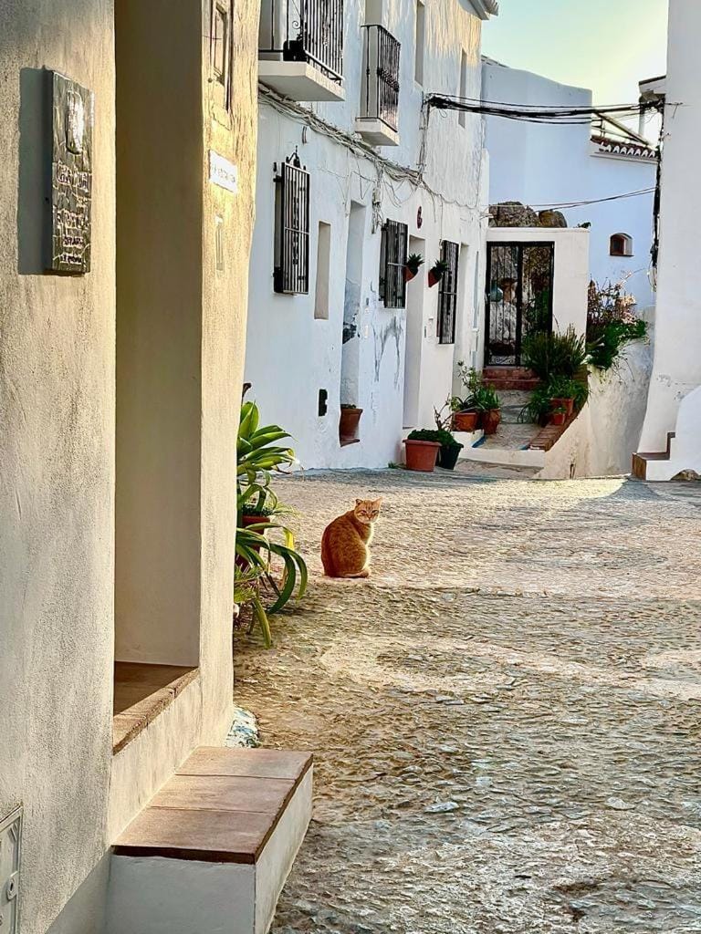Quiet street view