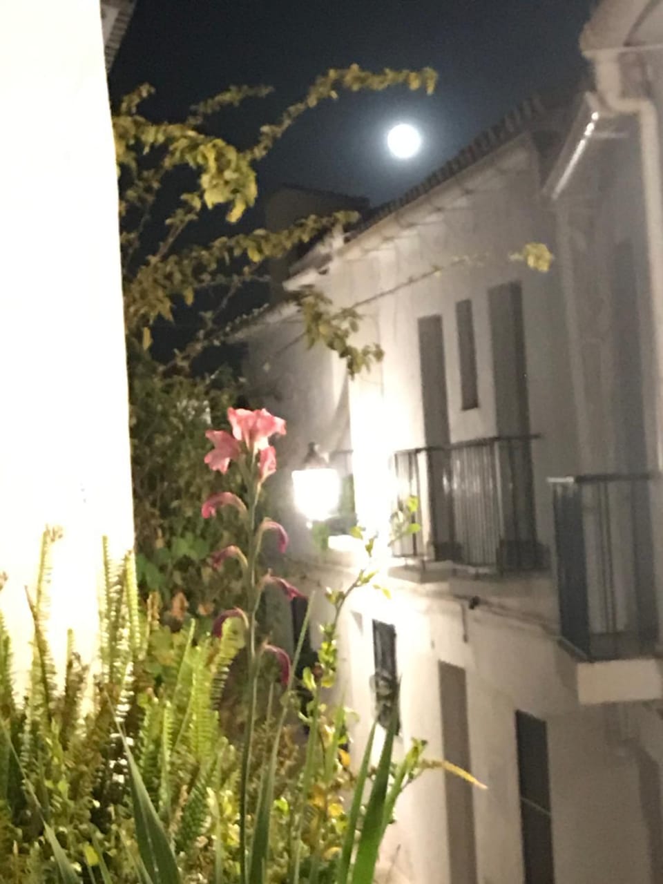 Quiet street view