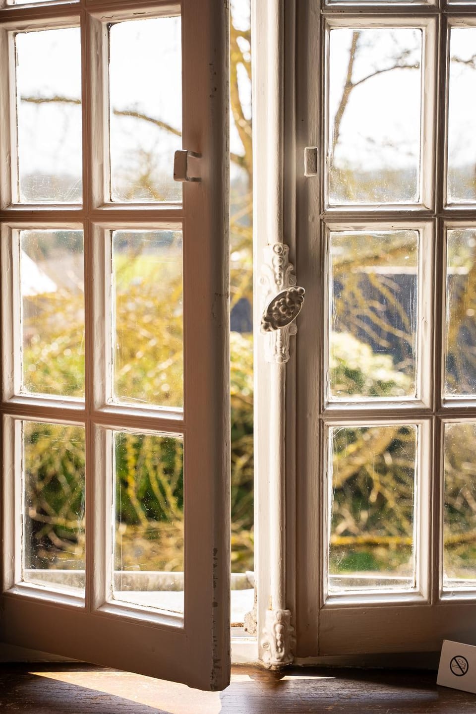 Garden view