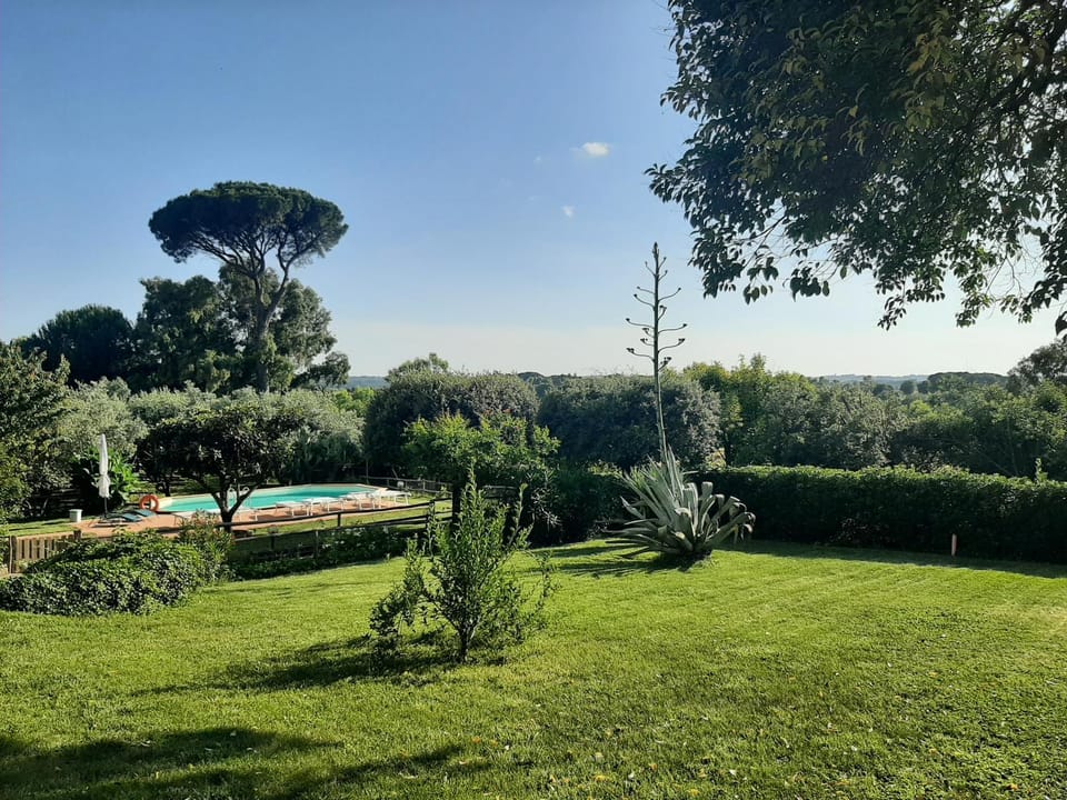 Garden, Garden view, Pool view, Swimming pool