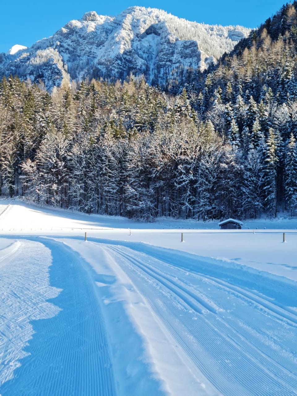 Natural landscape, Winter