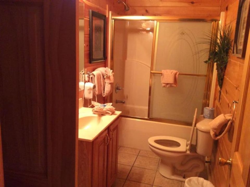 Party Hut Chalet in Sevier County