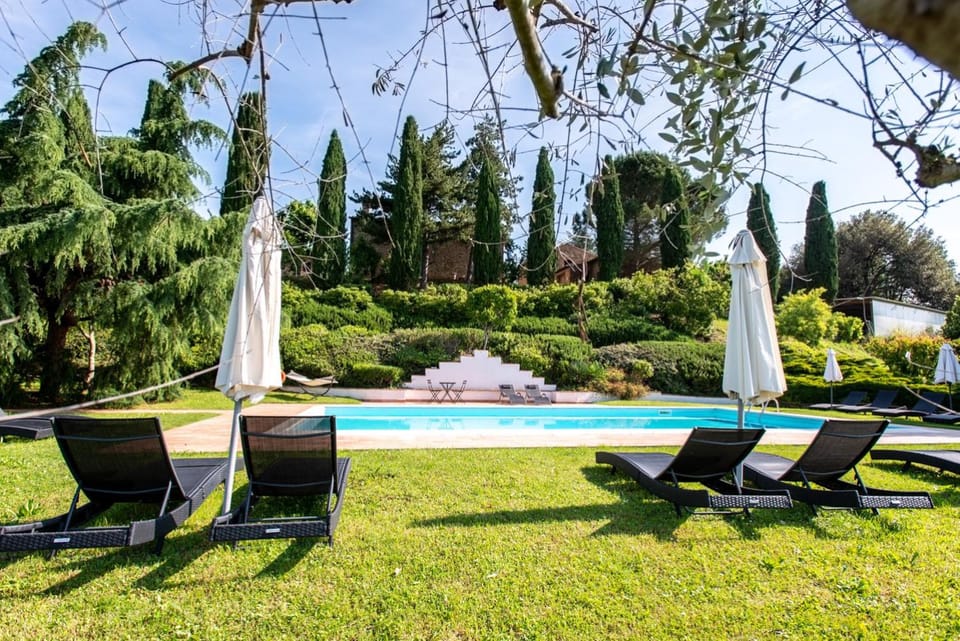 Garden, Swimming pool, Swimming pool