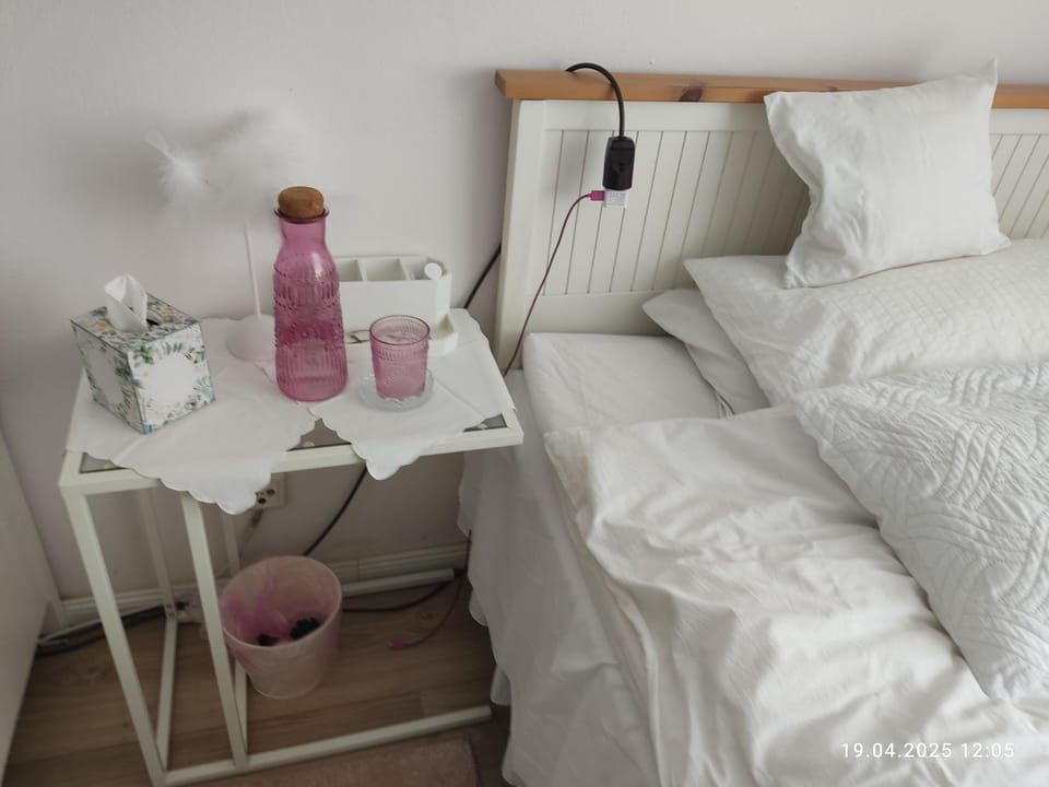 Romantischer Traum, nur 1 Tag im voraus zu buchen, mit TV inkl Netflix Vacation rental in Bielefeld