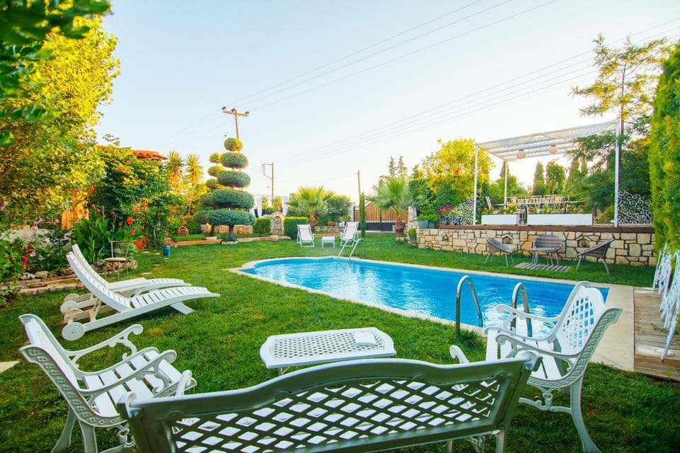 Spring, Day, Natural landscape, Garden, Garden view, Pool view, Swimming pool, sunbed