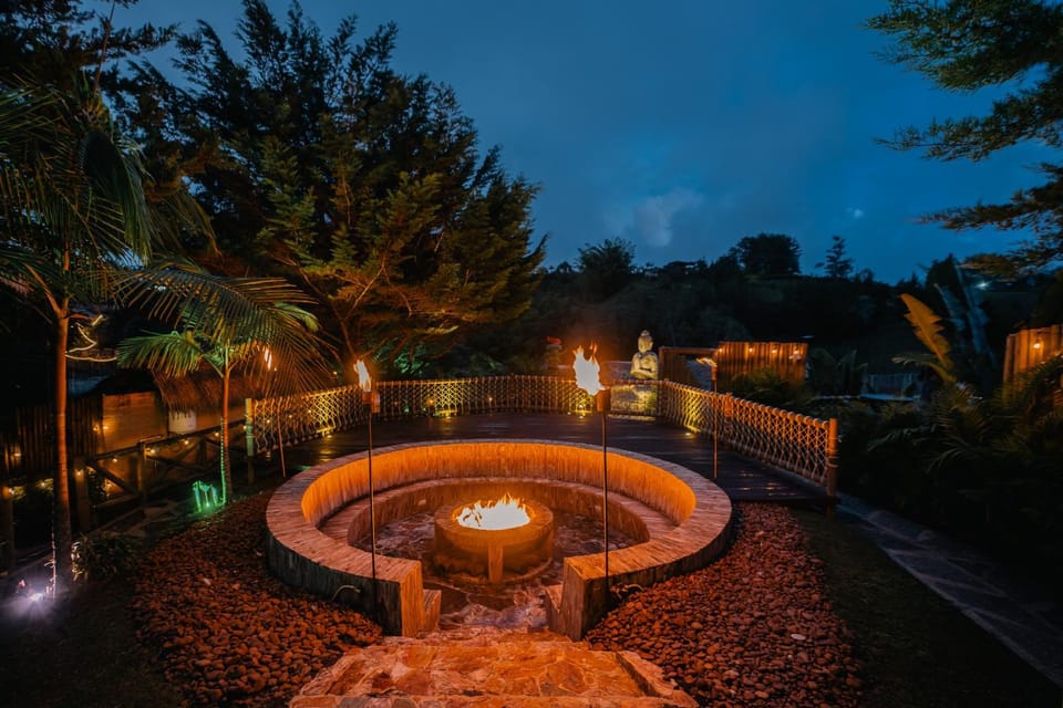 Night, Natural landscape, Garden, Garden view