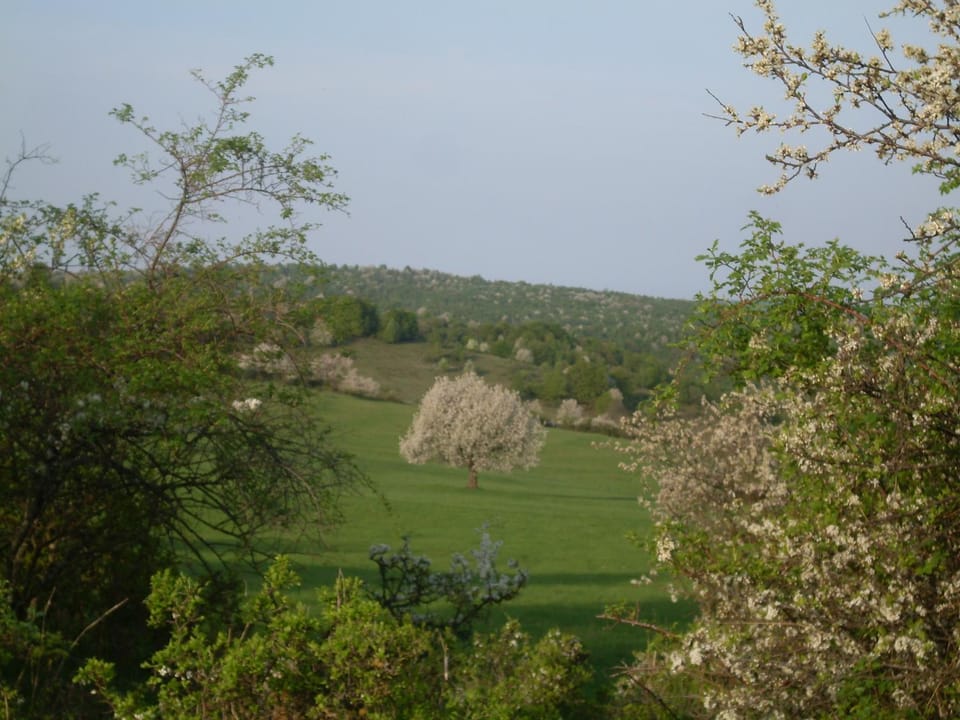 Natural landscape