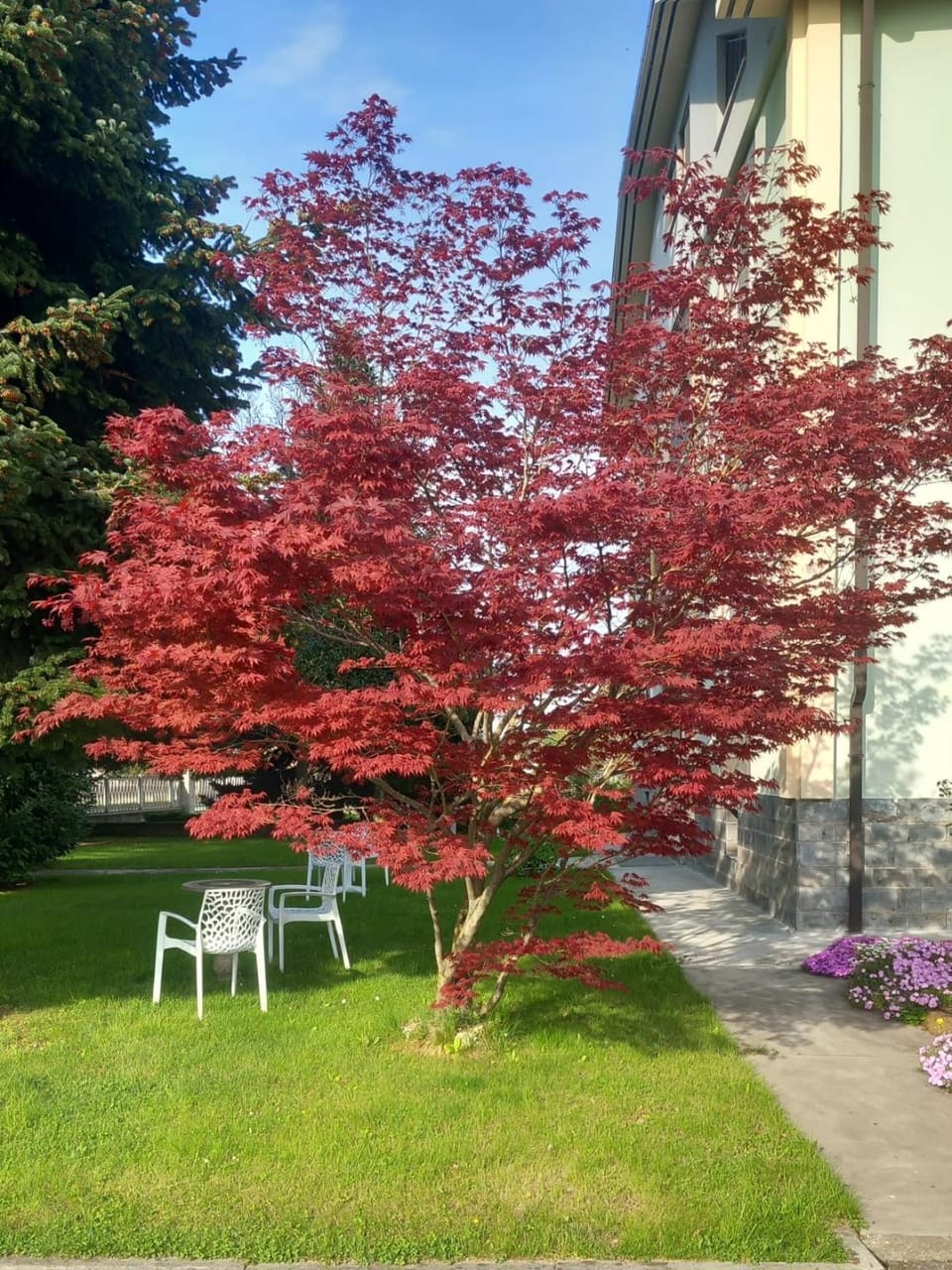 B&B Il castagno Bed and Breakfast in Piedmont