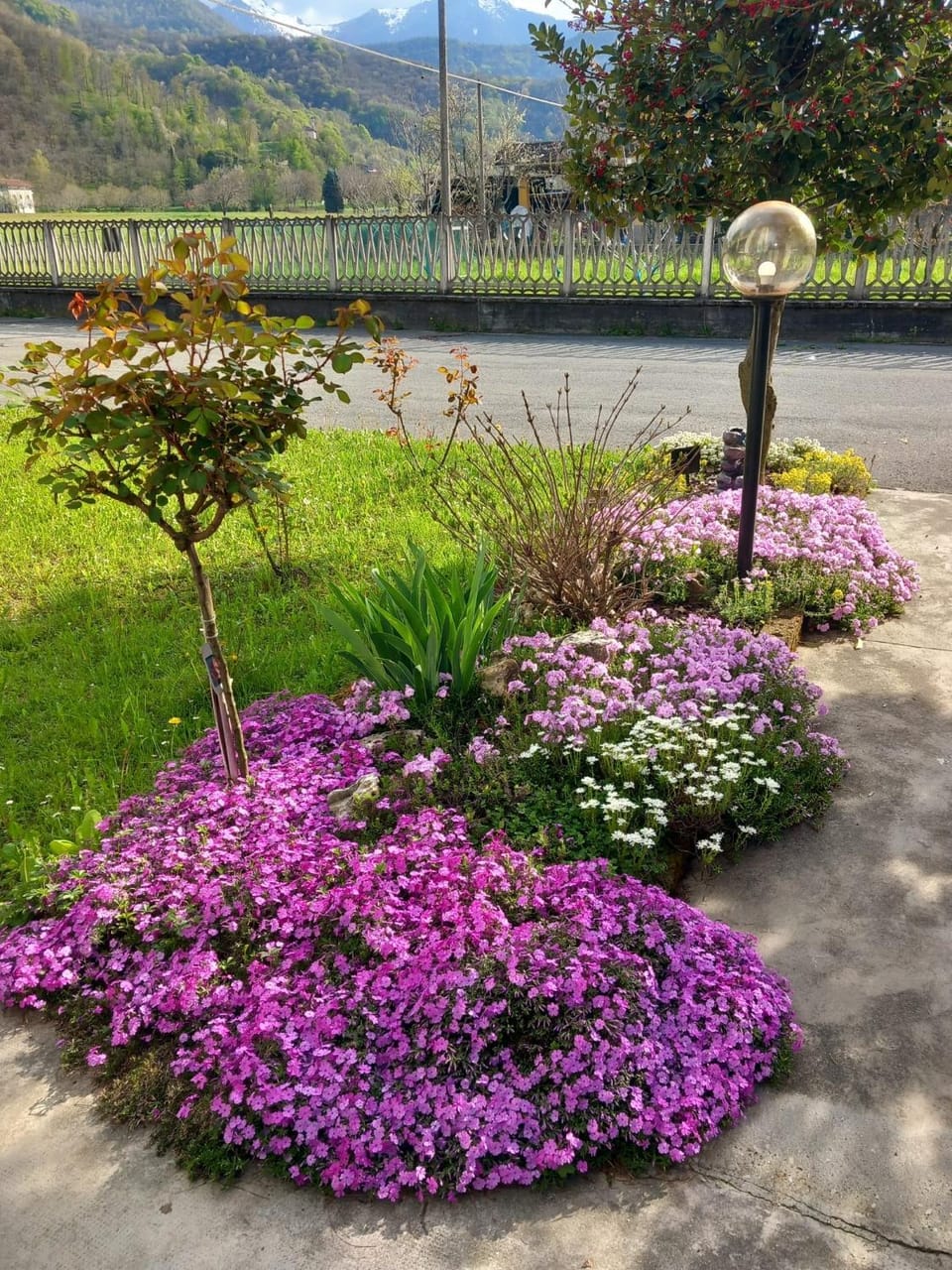 B&B Il castagno Bed and Breakfast in Piedmont