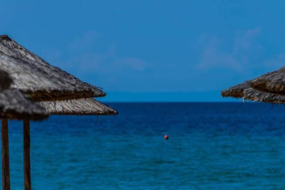 Private home with spacious garden & veranda - Flogita beach Apartment in Halkidiki