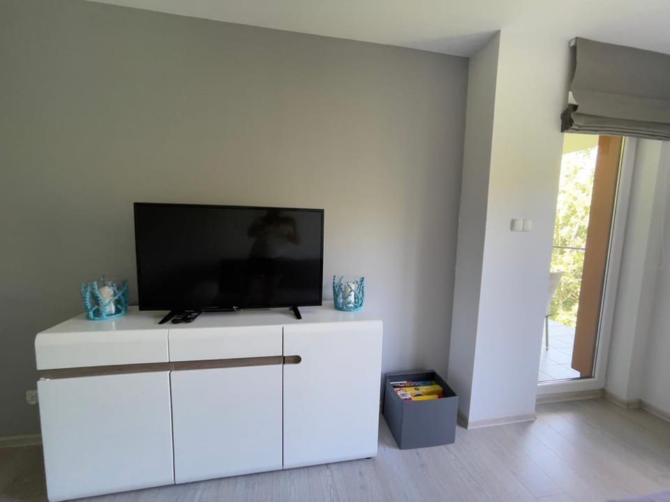 TV and multimedia, Evening entertainment