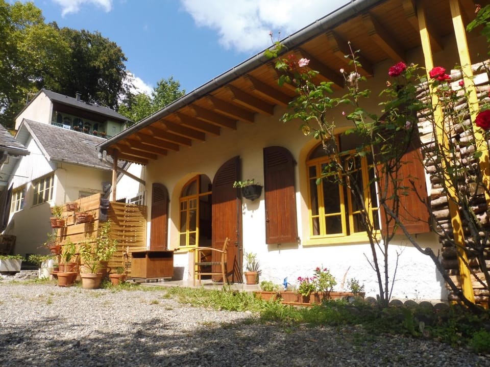 Property building, Garden view
