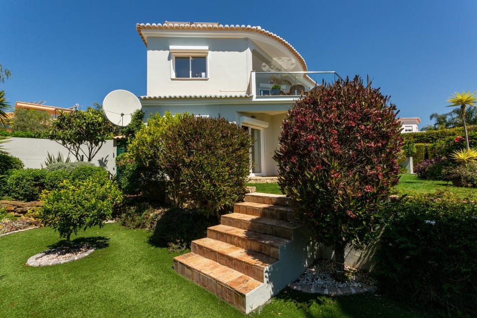 Patio, Garden, Garden view