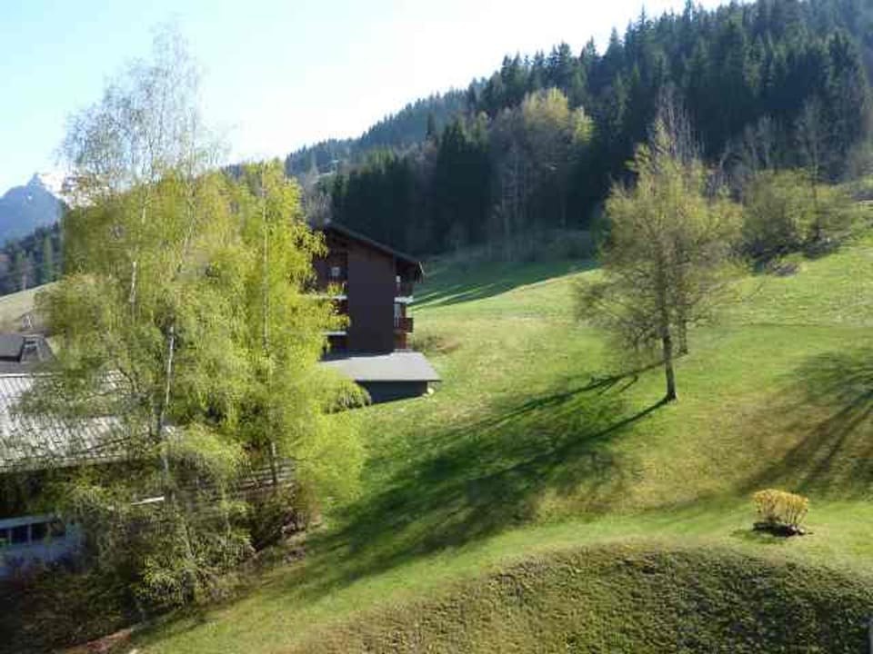Bel appartement au pied du Pleney pour 4/5 pers. à Morzine, parking dispo - FR-1-524-94 Apartment in Les Gets